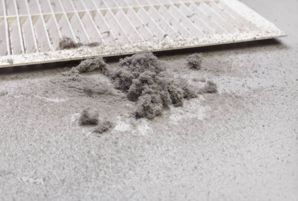 Best HVAC Air Duct Cleaning  in , MT