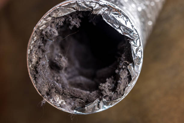 Best Residential Air Duct Cleaning  in , MT